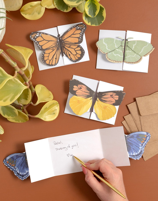 Flutter Friends Specialty Greeting Card Set, 3 of 3