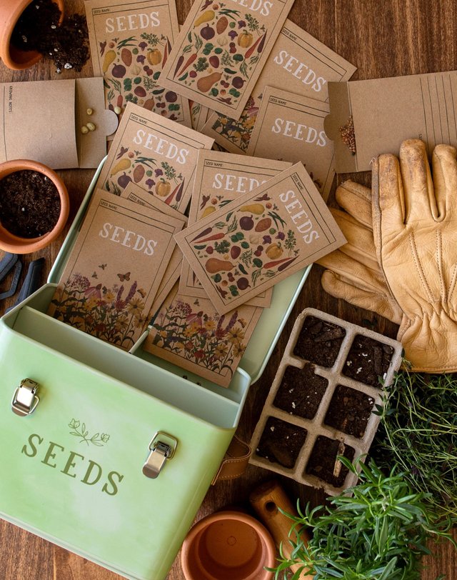 Green Thumb Seed Storage Box, 3 of 7