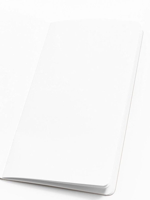 Kraft Traveler's Notebook, 2 of 4