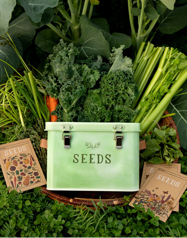 Green Thumb Seed Storage Box, 4 of 7