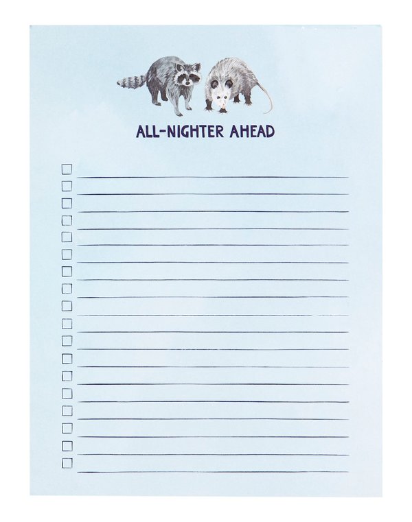 All Nighter Ahead Raccoon & Opossum 6×8 To Do Notepad, 2 of 2