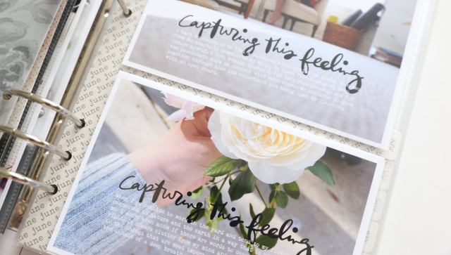 One Little Word® | 2022, 2 of 3