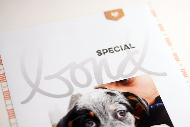 Special Bond, 2 of 3