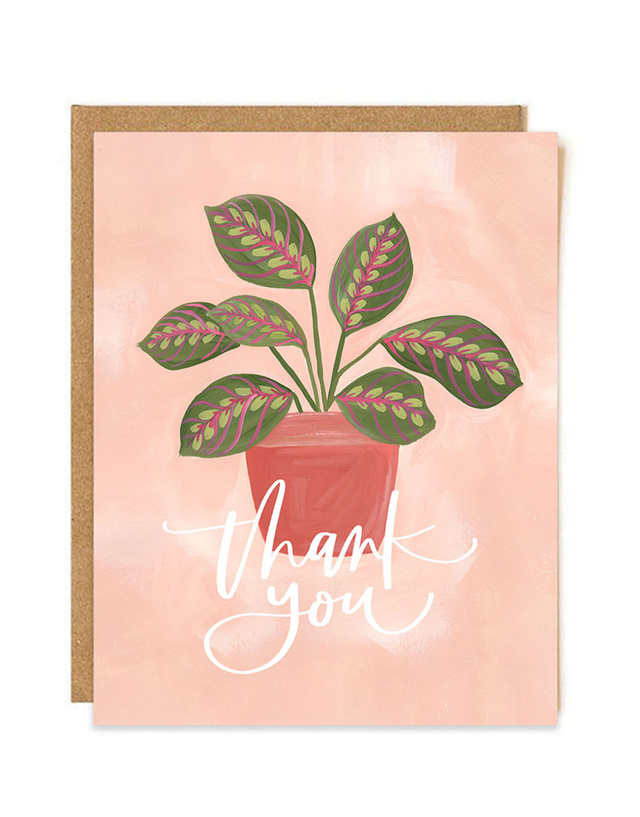 Greenhouse Specialty Greeting Card Box Set, 7 of 8