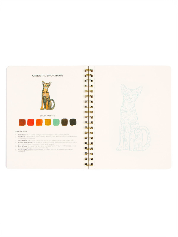 Feline Friends Cats Learn-To-Paint Gouache Paint Book, 4 of 7