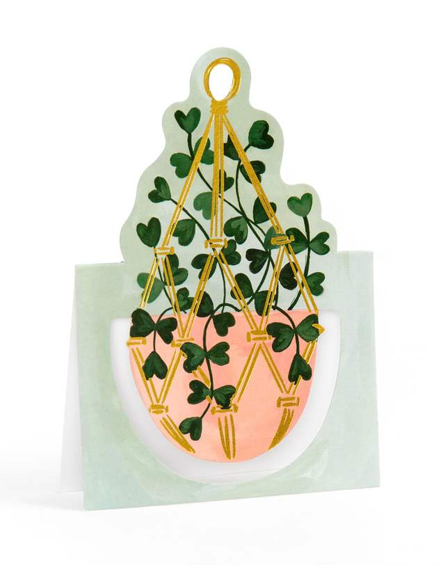 Potted Plants Pop-Up Greeting Card Box Set, 7 of 7