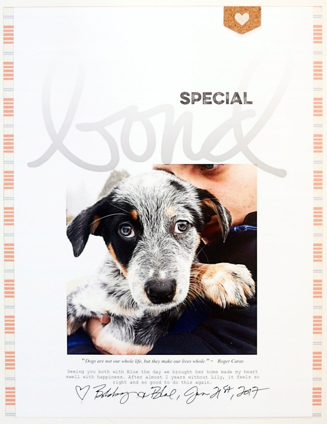 Special Bond, 1 of 3