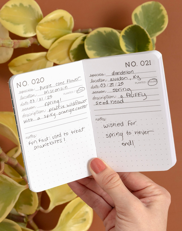 One Hundred Plants Guided Journal, 3 of 4