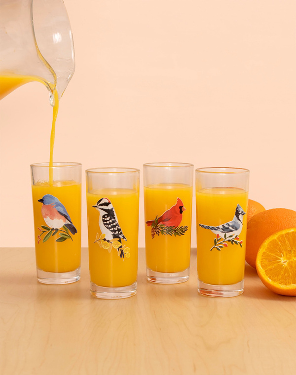 Feathered Friends Birds Tall Juice Glass Set, 1 of 2
