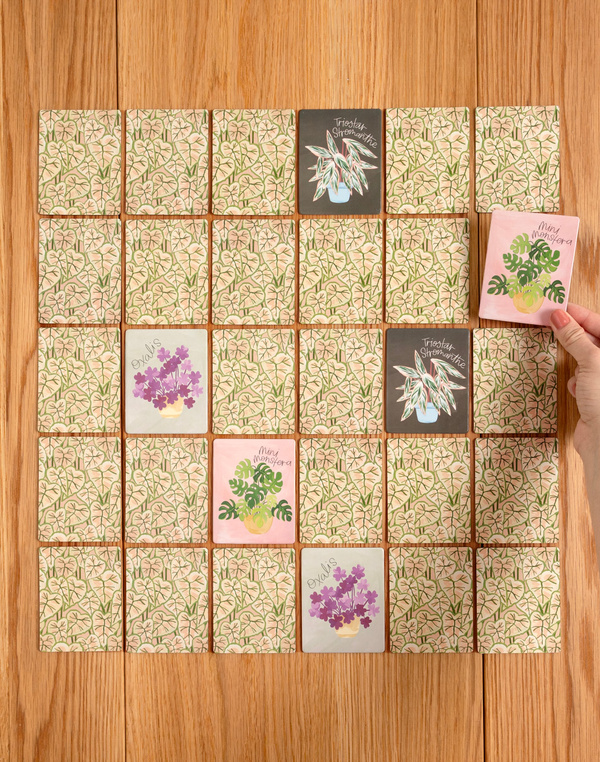 Houseplants Memory Game, 4 of 4