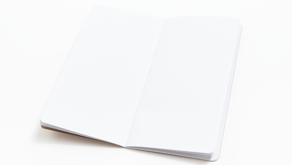 Kraft Traveler's Notebook, 2 of 2