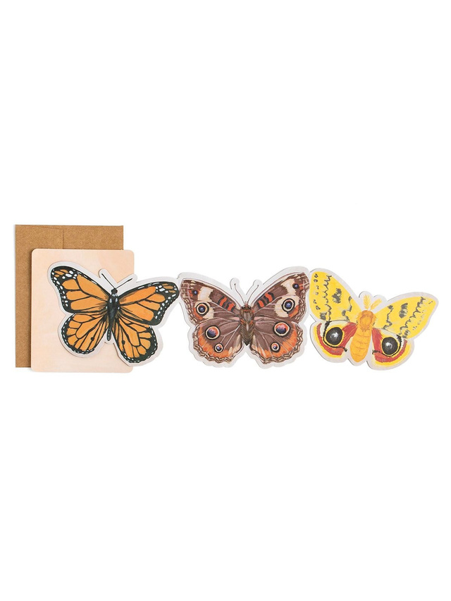 Flutter Friends Butterflies Accordion Greeting Card, 2 of 3