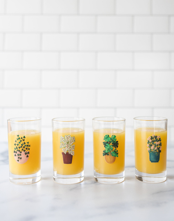 Houseplants Mini Juice Glass Set, 3 of 8