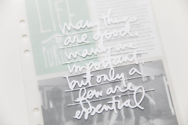 Life On Purpose, 3 of 3