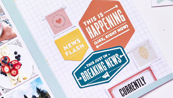 Wild at Heart Stamp Kit, 2 of 7