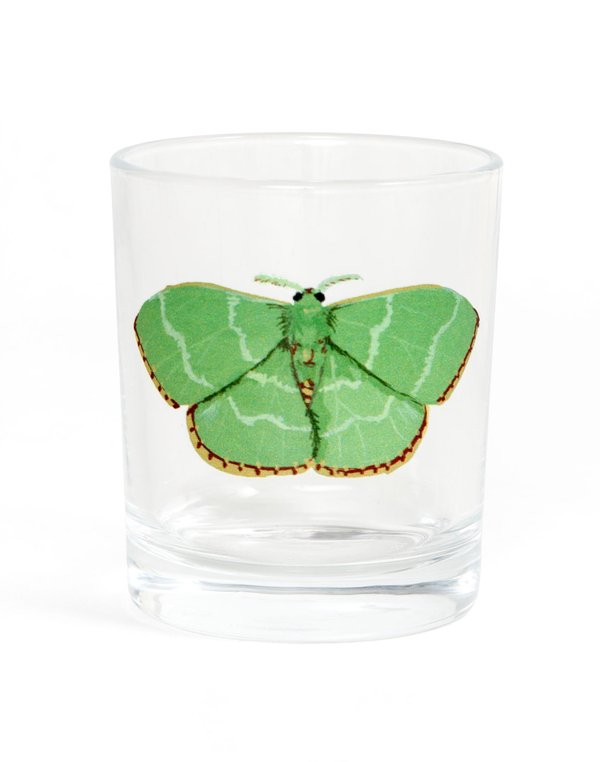 Red Fringed Emerald Moth 7.5oz Short Juice Glass, 4 of 4