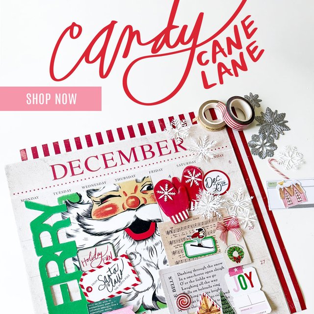 Shop Candy Cane Lane