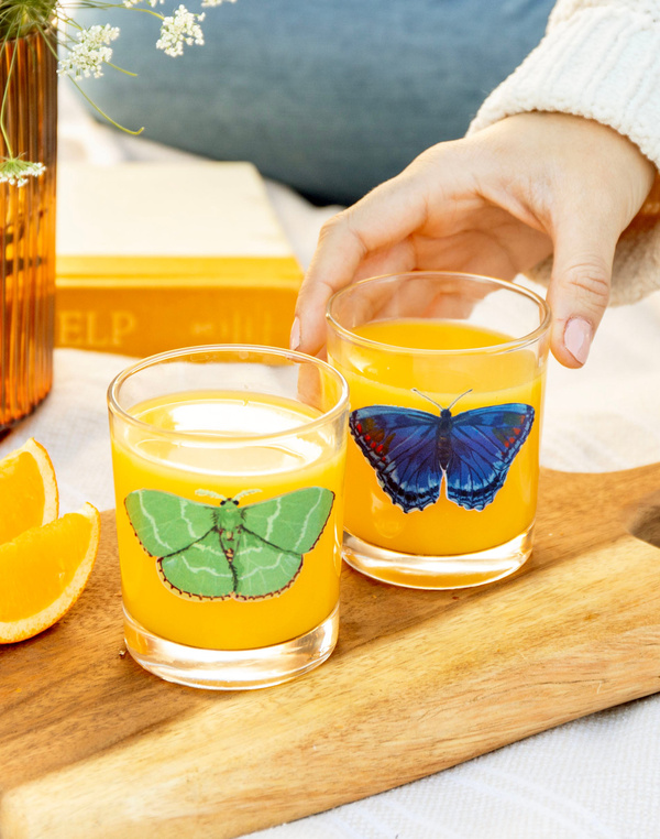 Red Fringed Emerald Moth Short Juice Glass, 2 of 4