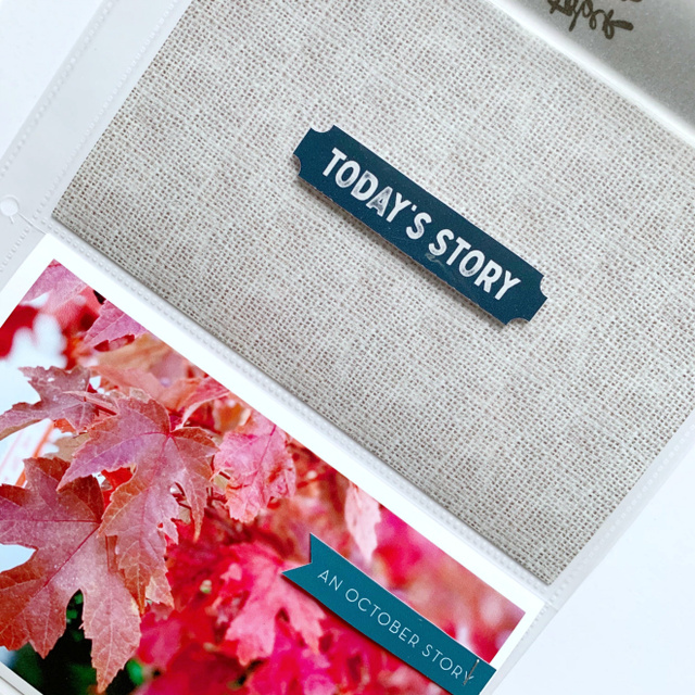 Today's Story, 3 of 3