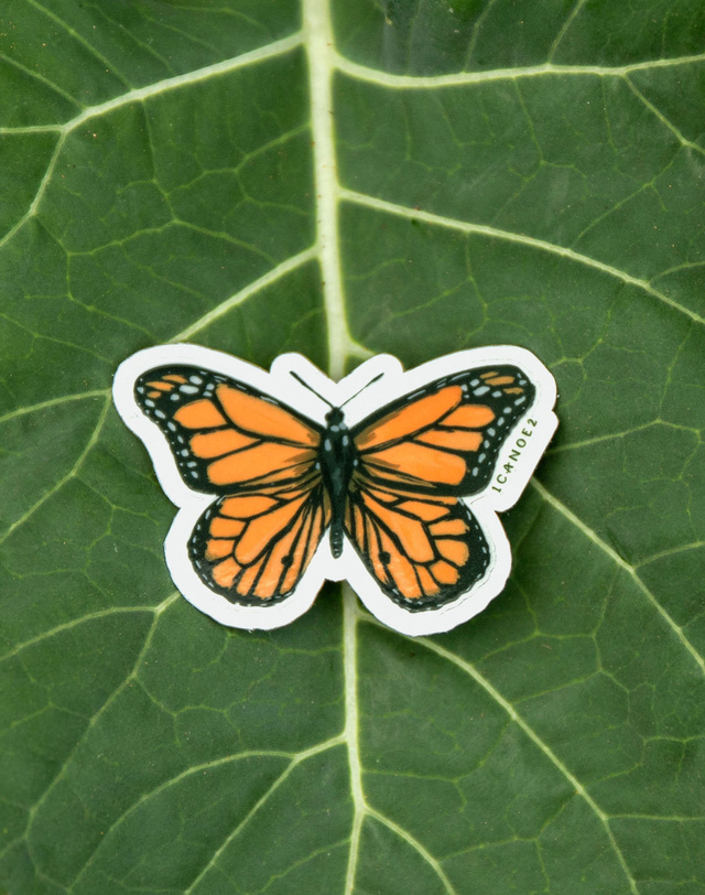 Monarch Butterfly Clear Decal Sticker, 3 of 5