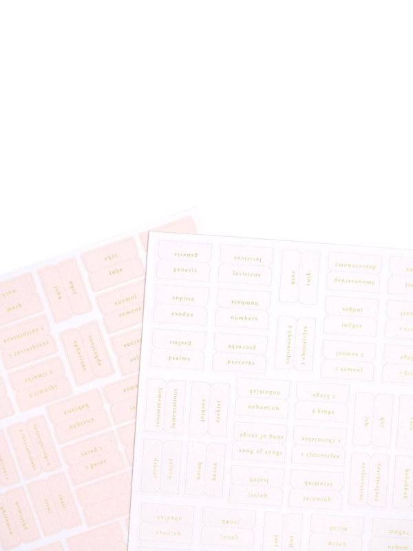 Pink & Cream Bible Tabs, 2 of 7