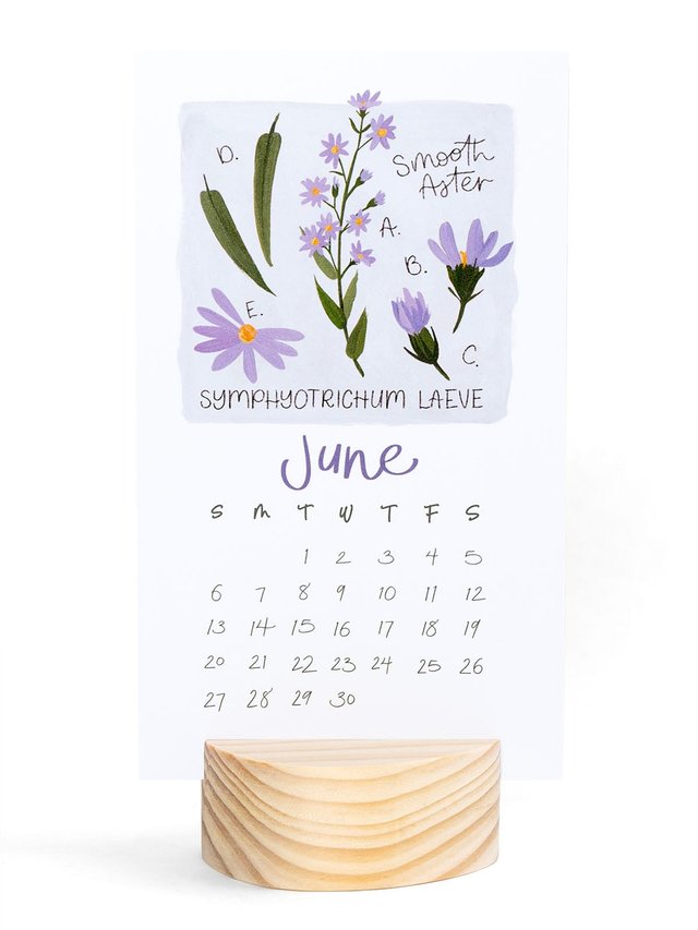 Wildflower Botanicals 2027 Mini Desk Calendar + Wooden Block, 4 of 7