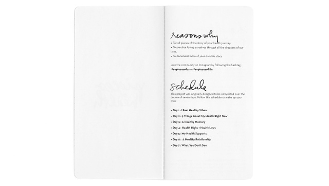 Pieces of Health Notebook, 2 of 7