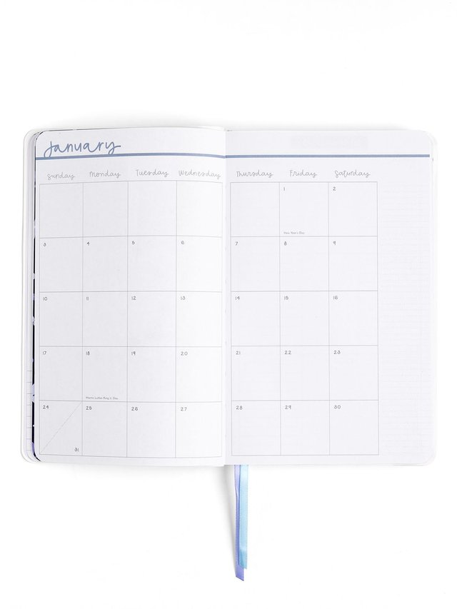 Blue Floral & Bows Petite Planner : 2027 Calendar Year, 10 of 14