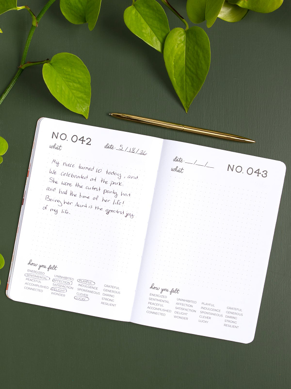 One Hundred Joys Journal - Large, 3 of 4