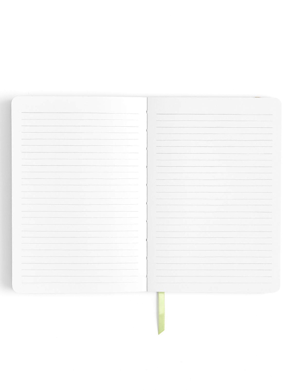 Freshwater Fish Lay Flat Lined Journal, 3 of 4