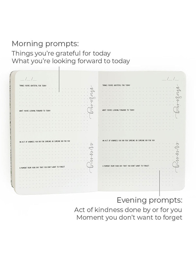 Gratitude Guided Journal, 3 of 6