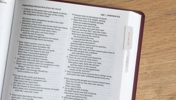 Bible Tabs - Pink and Cream, 5 of 6