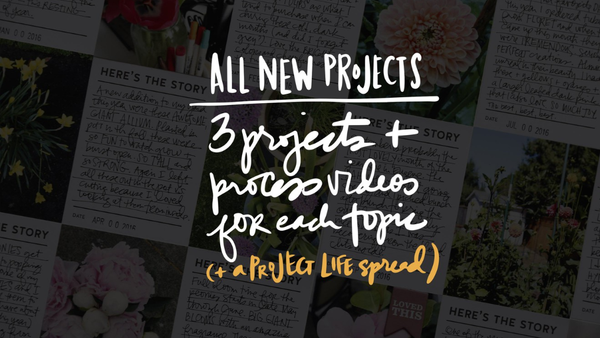 Hello Story 1 & 2 Class Bundle, 5 of 8