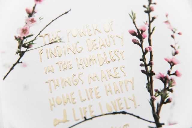 Finding Beauty, 2 of 3