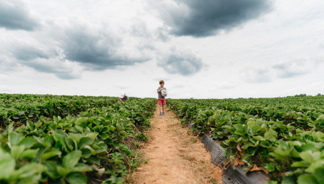 The Magic of Moments, 2 of 6