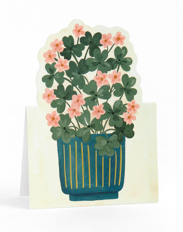 Potted Plants Pop-Up Greeting Card Box Set, 6 of 7