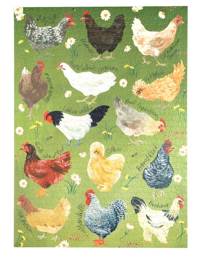 Chicken Meadows - 1,000 Piece Jigsaw Puzzle, 4 of 7