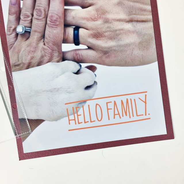 Hello Family, 2 of 2