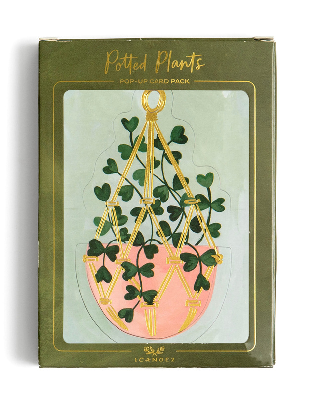Potted Plants Pop-Up Greeting Card Box Set, 1 of 7