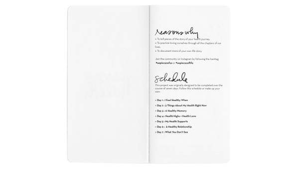 Pieces of Health Notebook, 2 of 7