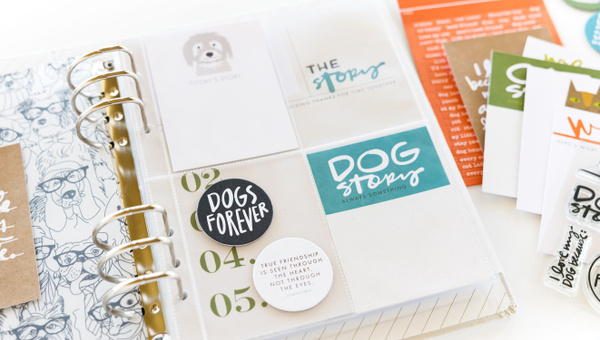 Story Play Mini Kit - Dogs & Cats, 3 of 5