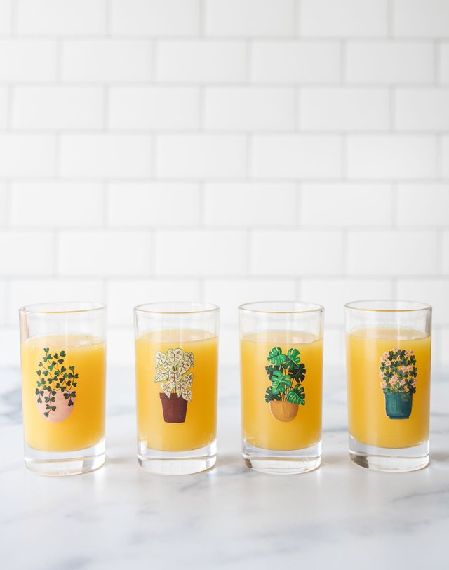 Houseplants 6oz Mini Juice Glass Set, 3 of 8