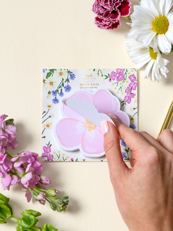 Vintage Blooms Brier Rose Sticky Notes, 3 of 3