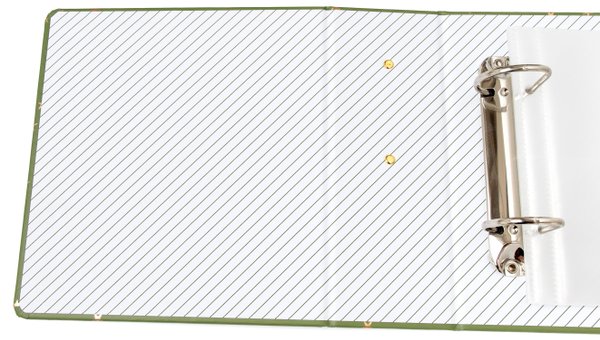 Green Stars 4×6 Album, 3 of 3