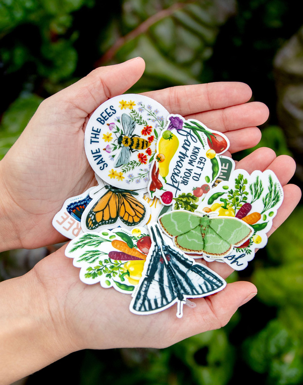 Red Fringed Emerald Moth Clear Decal Sticker, 3 of 4