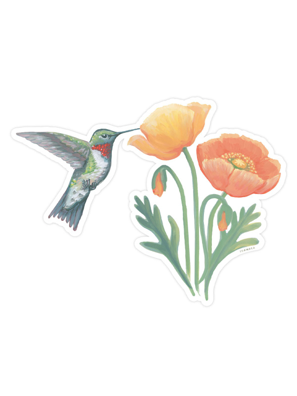 Hummingbird Poppies Decal Sticker, 1 of 2