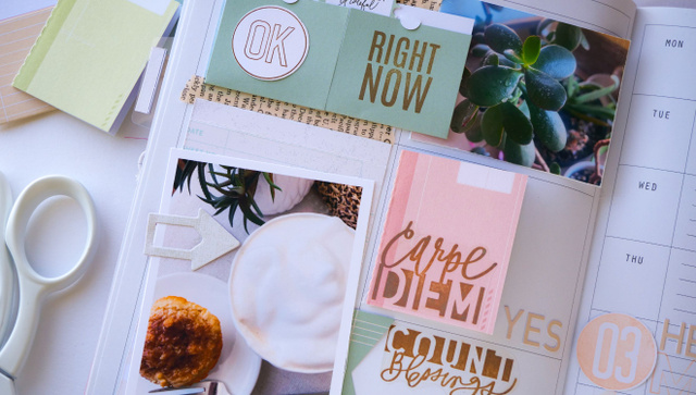 Stamp Set : 6×8 Carpe Diem, 7 of 7
