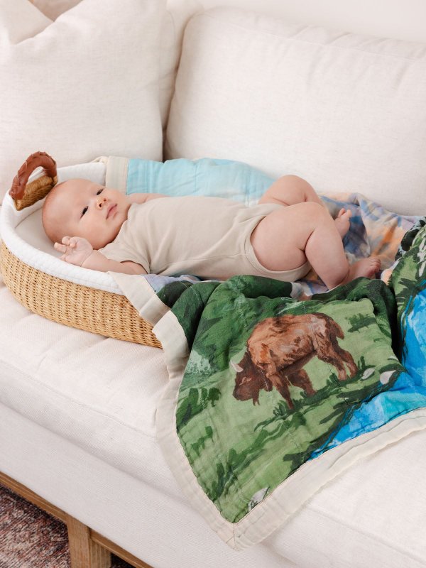 Grand Teton National Park Reversible Landscape Baby Quilt, 3 of 6