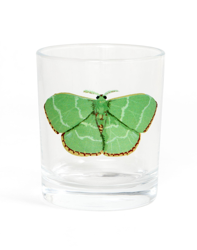 Red Fringed Emerald Moth Short Juice Glass, 4 of 4