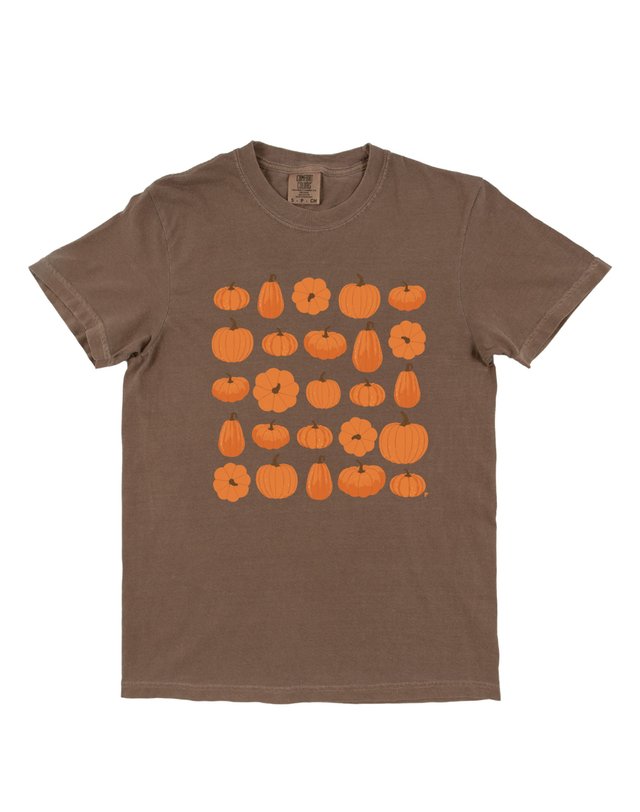 Pumpkin Patch Tee - Espresso, 3 of 3
